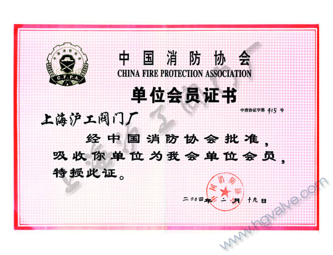 中国消防协会单位会员-新在线伊人